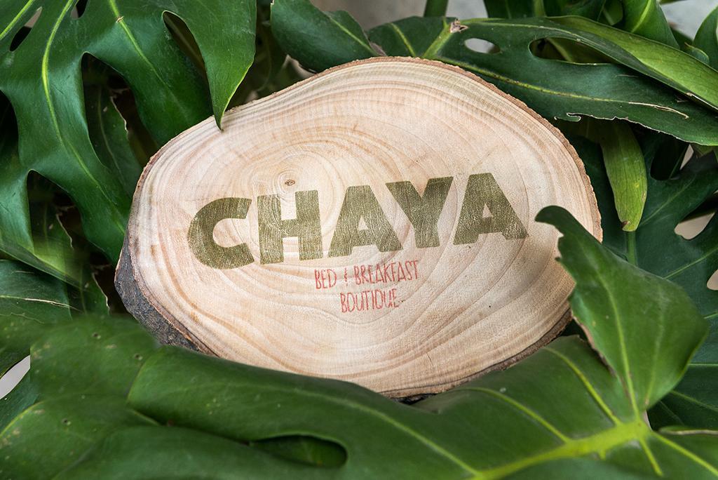 Chaya B&B Boutique 墨西哥城 客房 照片