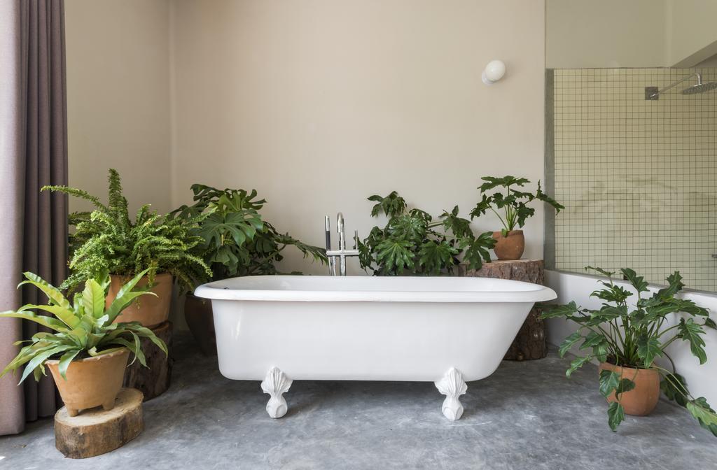 Chaya B&B Boutique 墨西哥城 外观 照片
