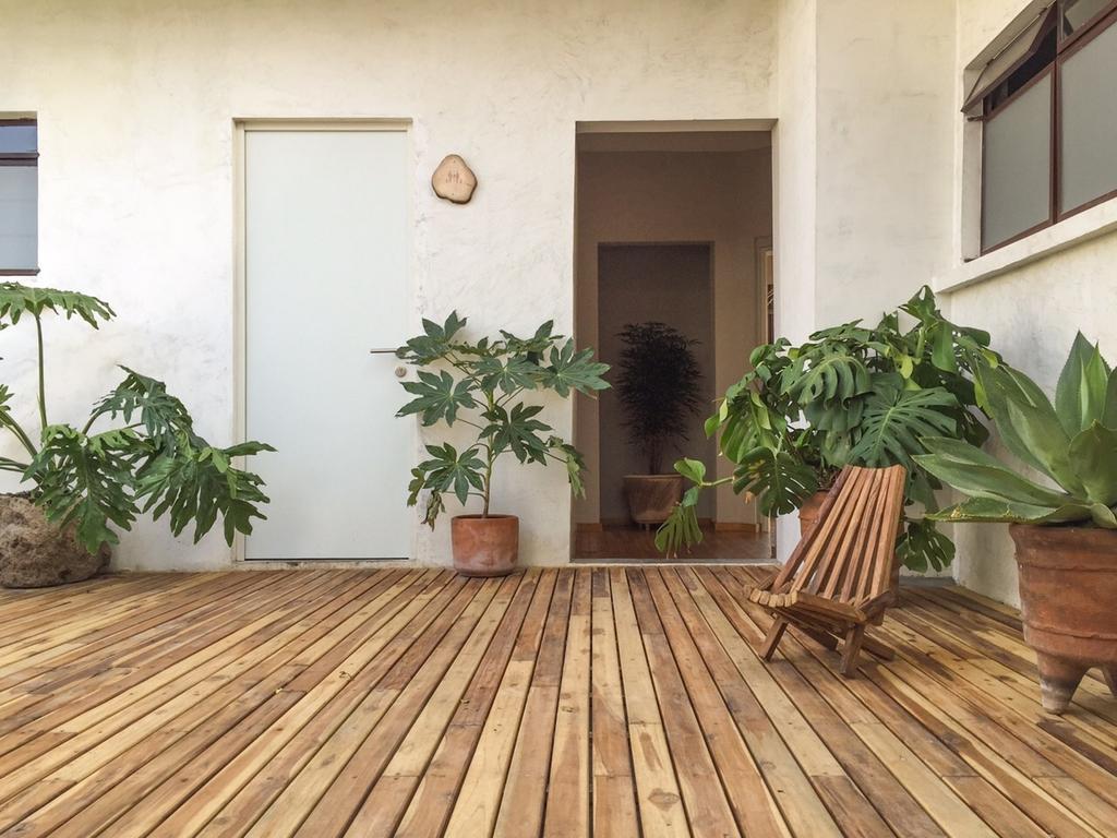 Chaya B&B Boutique 墨西哥城 外观 照片