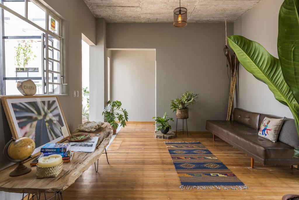 Chaya B&B Boutique 墨西哥城 外观 照片