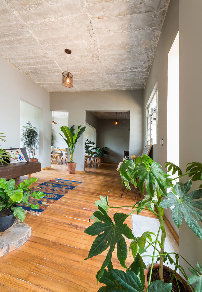 Chaya B&B Boutique 墨西哥城 外观 照片