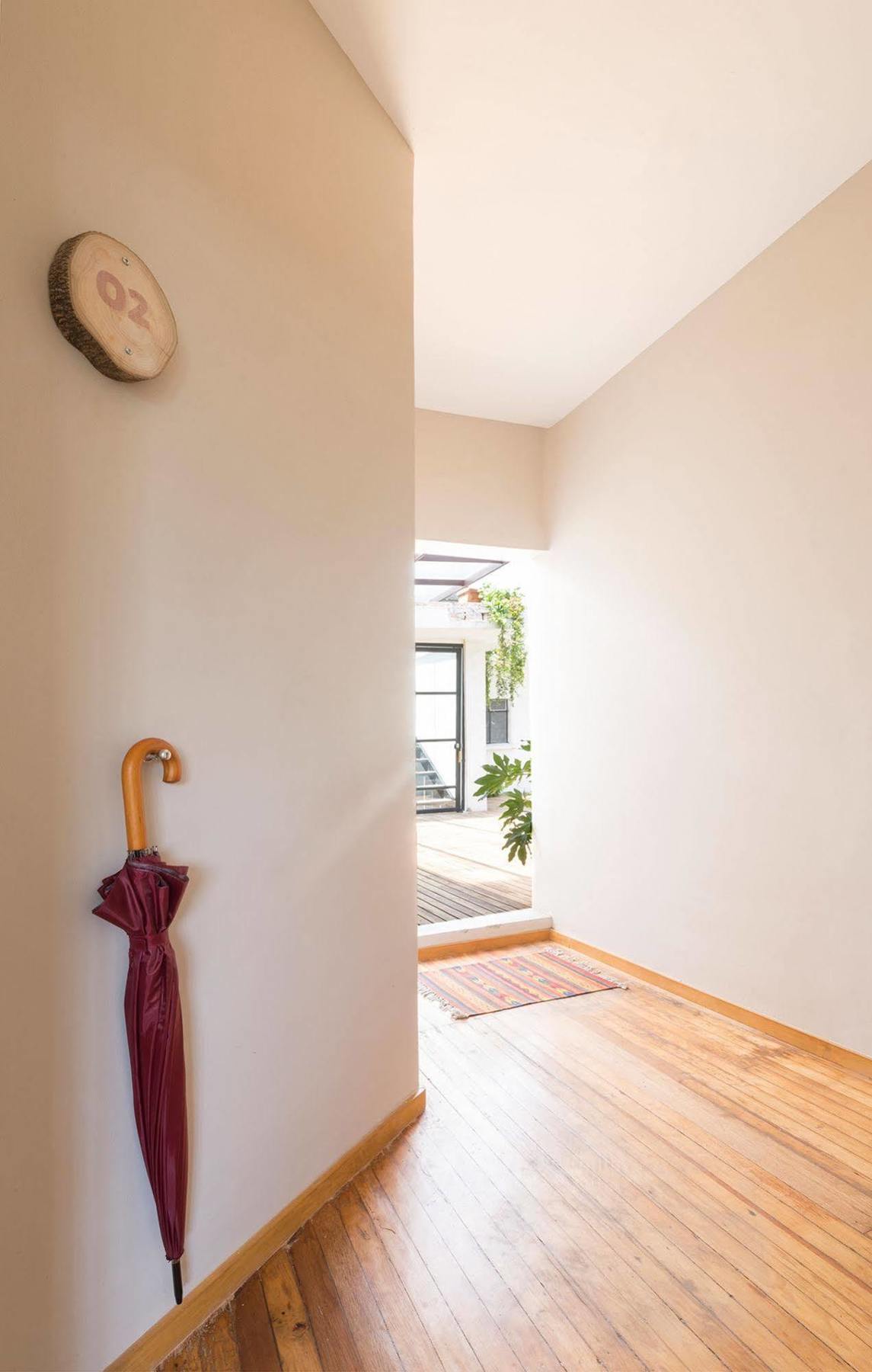 Chaya B&B Boutique 墨西哥城 外观 照片