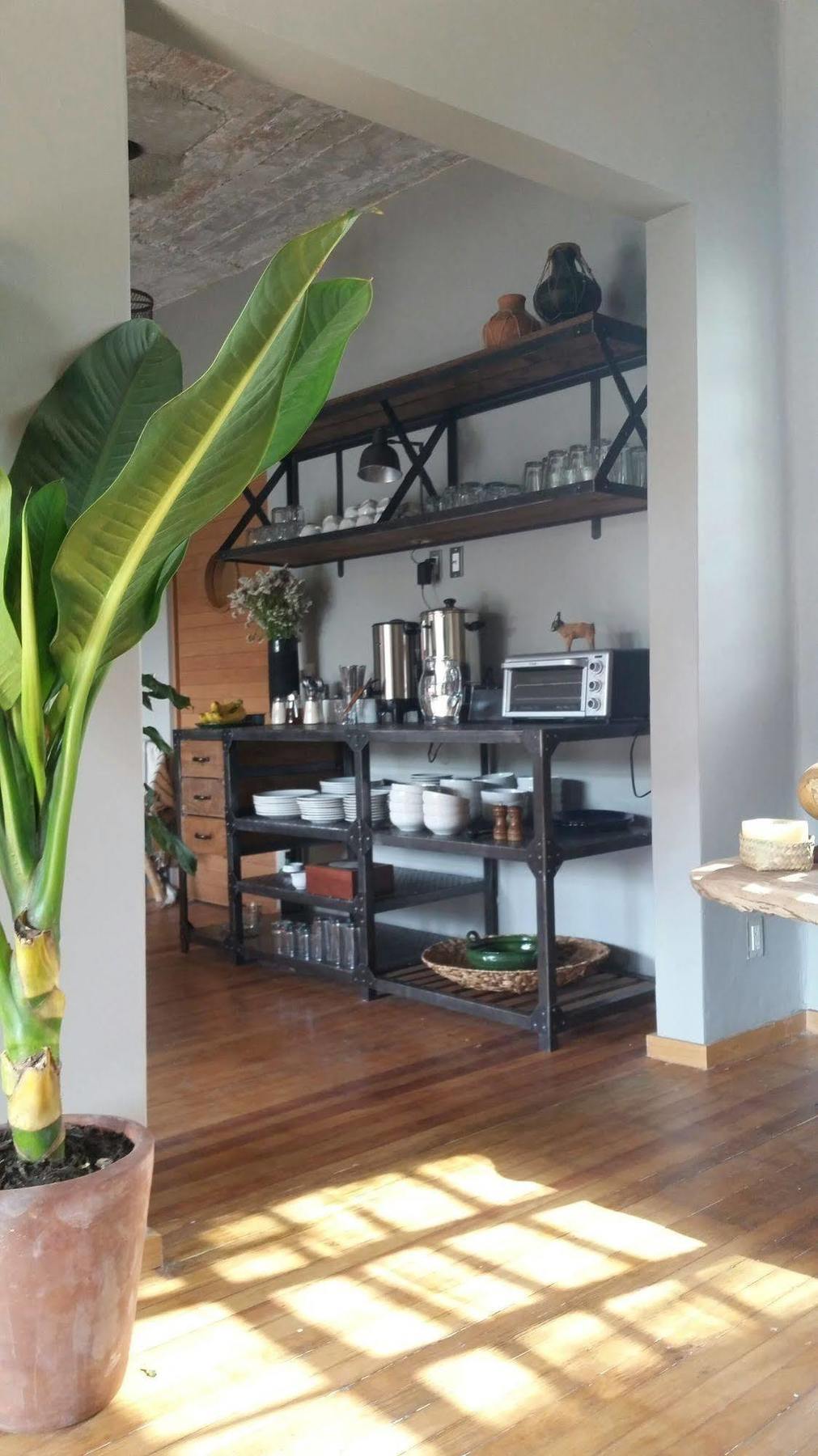Chaya B&B Boutique 墨西哥城 外观 照片