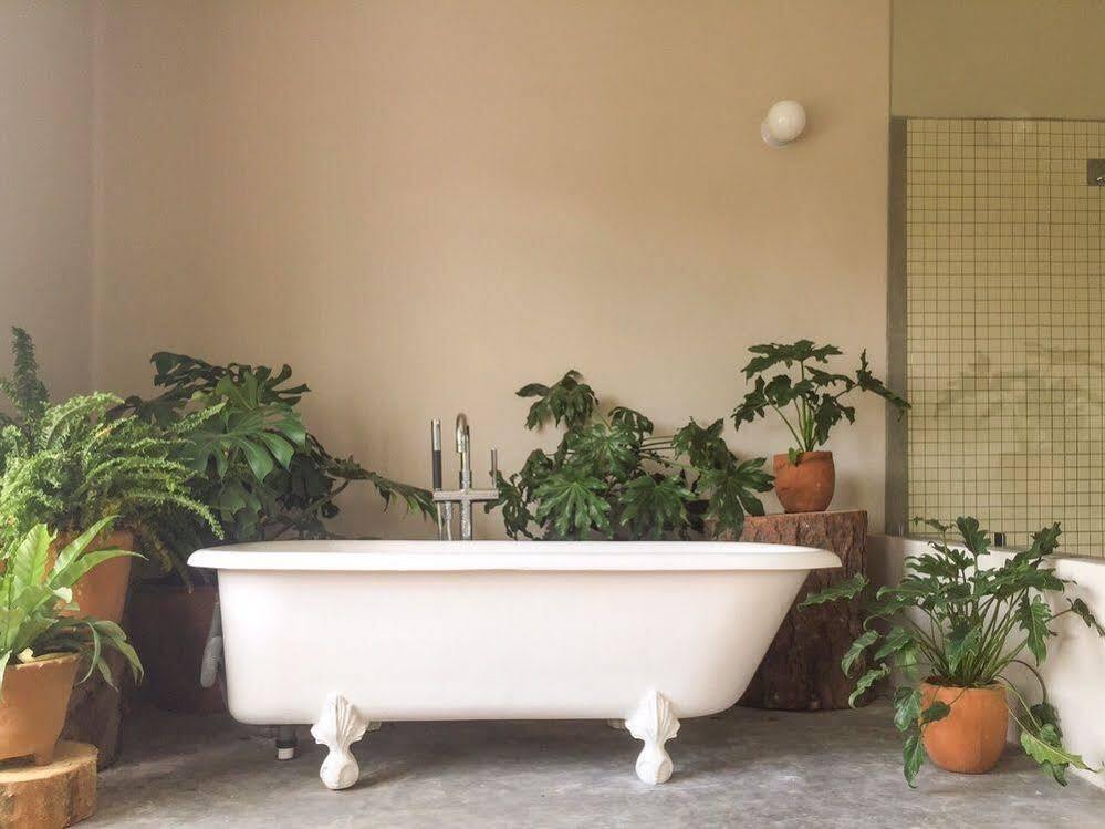 Chaya B&B Boutique 墨西哥城 外观 照片